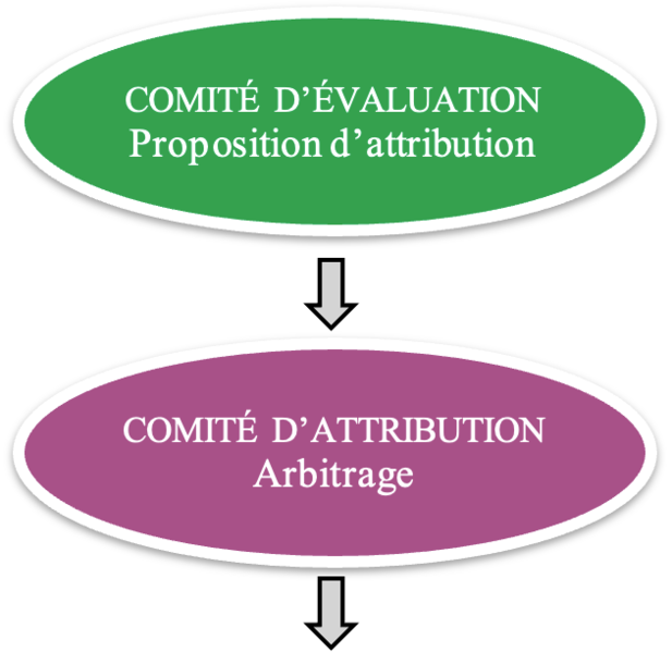 Fichier:P2.png